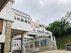 -圣德肋撒医院