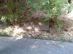 android_upload_pic-东莞市可园博物馆