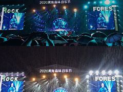 -黄海国家森林公园