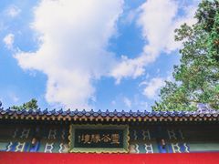 -灵谷景区