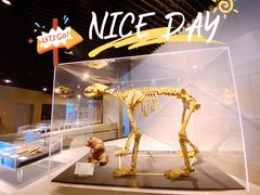 -周口店北京人遗址公园