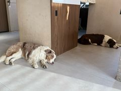 -时间抽屉(裕华万达广场店)