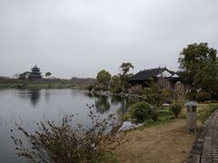 -上海海湾国家森林公园