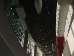 -大连体育中心体育馆
