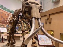 -陕西自然博物馆