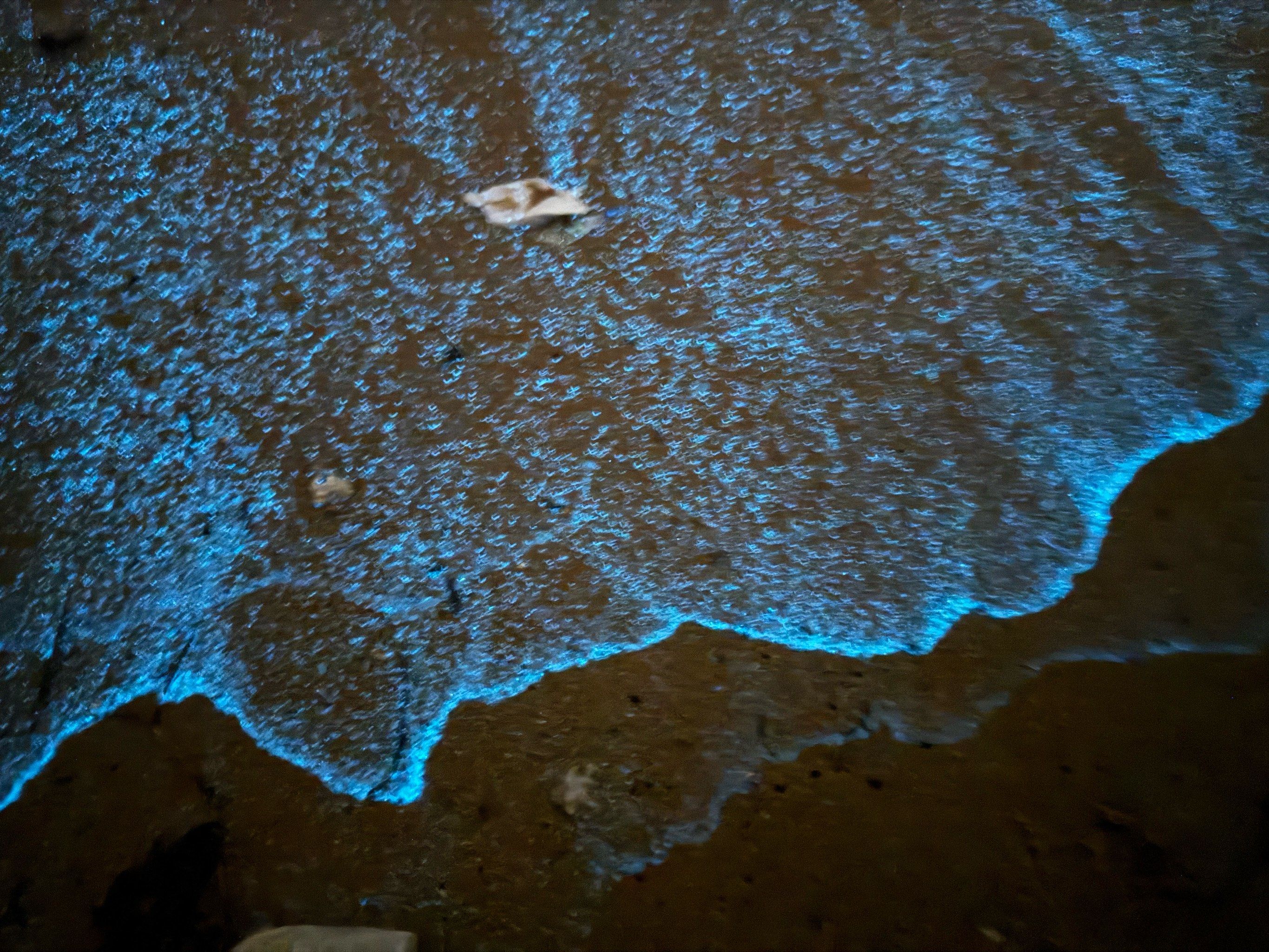 平潭蓝眼泪来啦