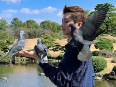 -水前寺成趣园