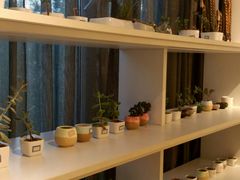 -中家鑫园温泉酒店鑫悦汤泉