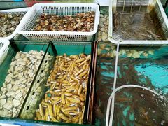 -新享乐海鲜(翠华路店)