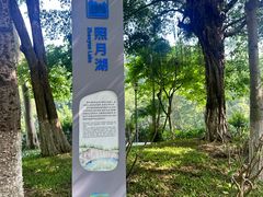 -火炉山森林公园