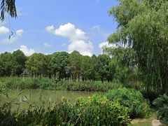 -九科绿洲