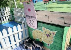 -萌宠亲子动物乐园(槐房万达店)