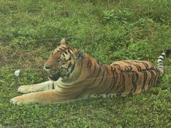 -大连森林动物园