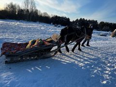 -北极村旅游风景区