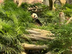 -石排湾郊野公园