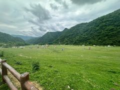 -狮子沟牧场