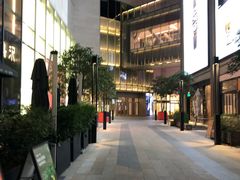 -港汇恒隆广场