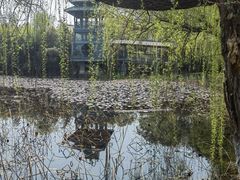 -金鸡湖桃花岛