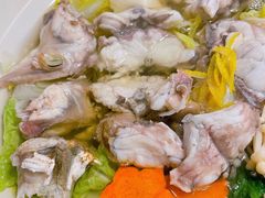 河豚鱼火锅-桥岚·巷子鲜河豚鱼(专门店)