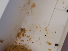 -宫喜糕点(共青团路店)