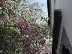 -深圳国际园林花卉博览园