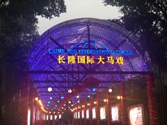 -广州长隆国际大马戏