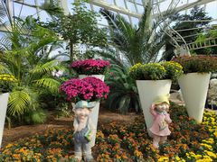 -石家庄市植物园