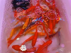 -双季花艺园艺市场(浦东店)