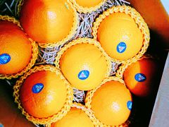 -G-Super 绿地优选(徐汇绿地缤纷城店)