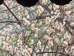 -钱王祠