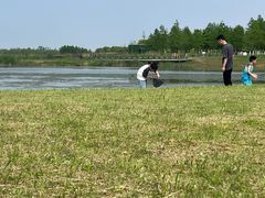 -春花秋色城市公园