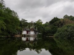 -深圳国际园林花卉博览园