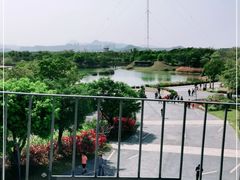 -福田红树林生态公园