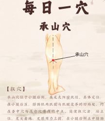 -雅曼妮spa美容养生