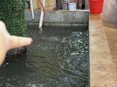 -高家小院铁锅炖大鹅(哈西高铁站店)