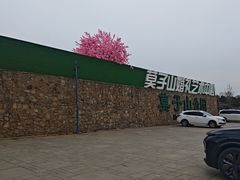 -莫子山公园