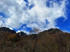 -秦岭风景区