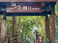 -亚龙湾热带天堂森林公园