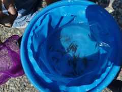 -华蓥山天意谷景区