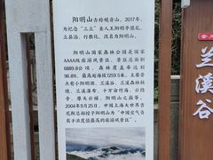 -江西阳明山国家森林公园