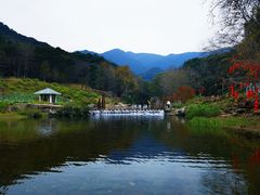 -广州市石门国家森林公园
