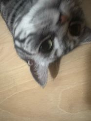 -风生造型