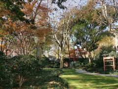 -静安公园(静安寺街道)