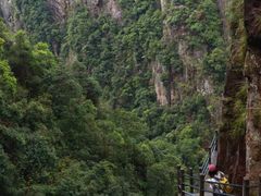 -天台山琼台仙谷景区