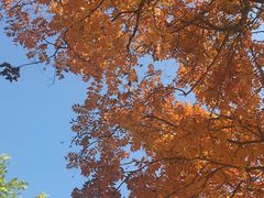 -中关村生命科学园