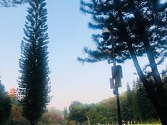 -深圳仙湖植物园