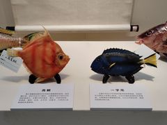 -诸暨博物馆