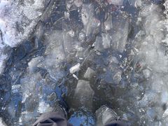 -峡谷浮石林景区