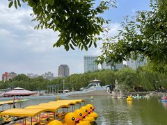 -团结湖公园