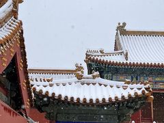-故宫博物院(故宫)